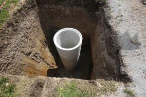 PONIKALNICA 02 FOTO LJUBO VUKELIČ